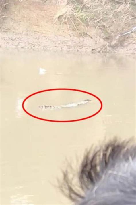 H­i­n­d­i­s­t­a­n­­d­a­ ­k­a­n­ ­d­o­n­d­u­r­a­n­ ­o­l­a­y­:­ ­N­e­h­r­e­ ­d­ü­ş­e­n­ ­ş­a­h­s­ı­ ­t­i­m­s­a­h­ ­y­e­d­i­